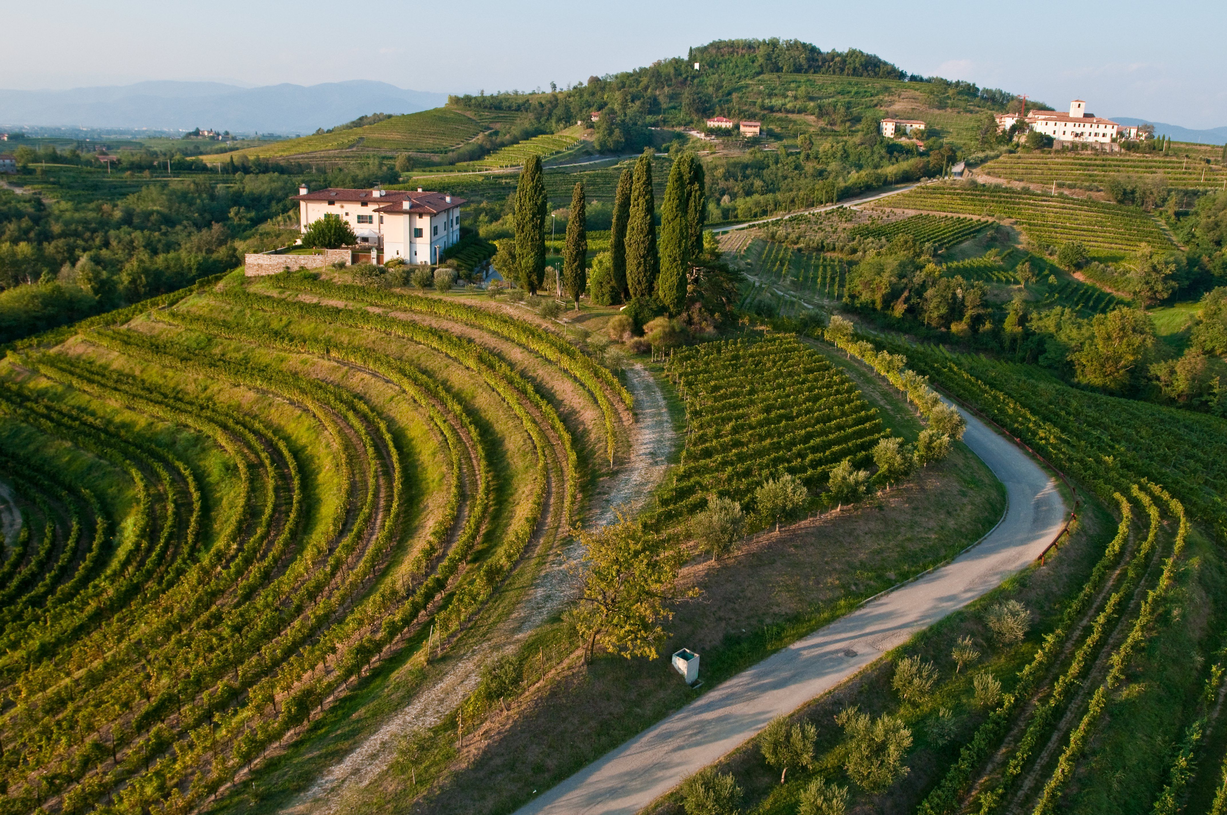 Friuli e Collio